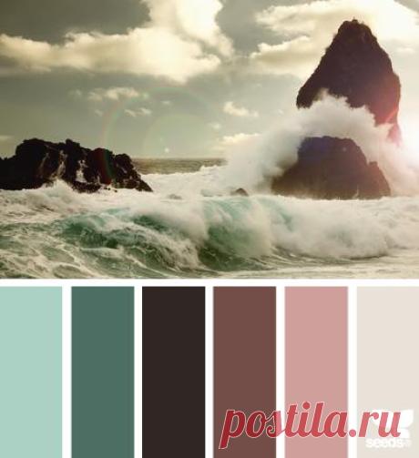 Design Seeds® | find your palette