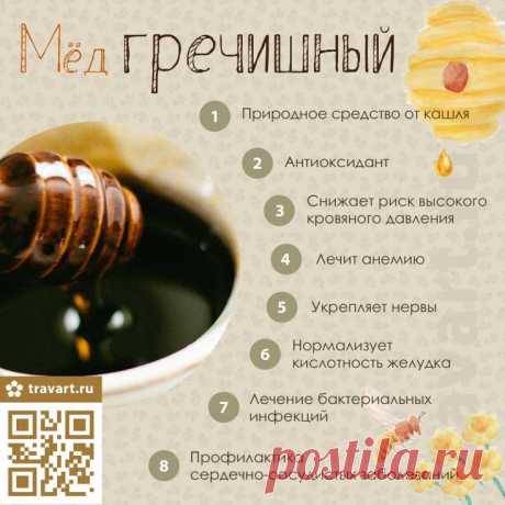 Мёд гречишный - полезные свойства