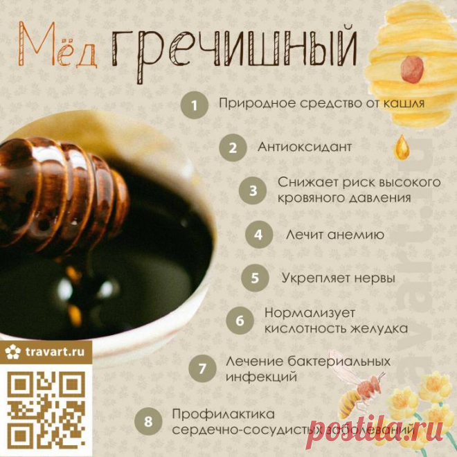 Мёд гречишный - полезные свойства