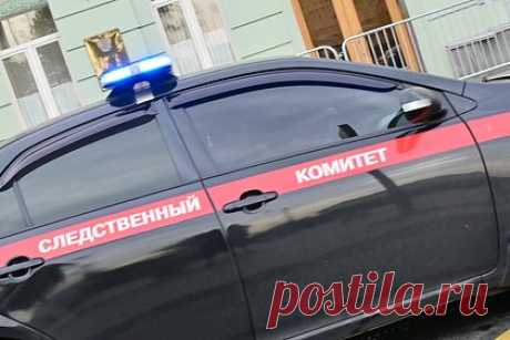 В Сочи начали проверку после падения дерева на мужчину. Вечером 23 декабря 2023 года на улице 60 лет ВЛКСМ в Сочи произошло обрушение дерева. В результате проходивший мимо 46-летний мужчина получил серьезные травмы, спасти его не удалось. В настоящее время в ходе доследственной проверки эксперты выясняют обстоятельства и причины происшедшего.