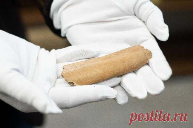 Ученые нашли самую древнюю надпись славян. И она сделана не на глаголице | Популярная наука | Яндекс Дзен