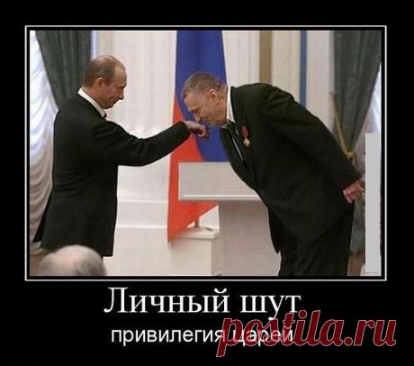 ✓ ГЛАСНОСТЬ ✓