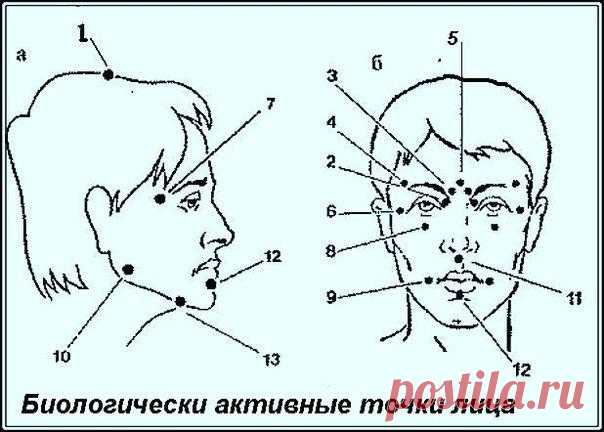 Биологически активные точки на голове — ваша скорая помощь.