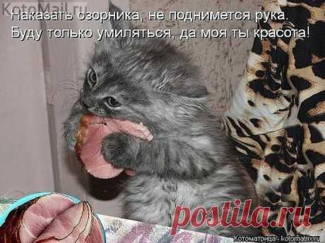 Разве можно на ребенка обижаться?