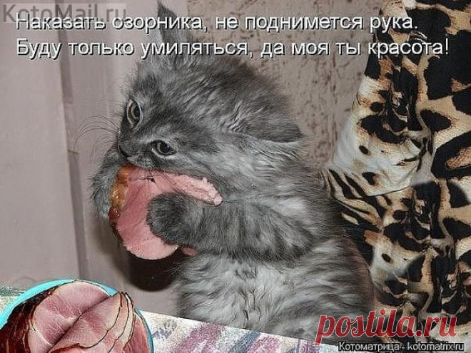 Разве можно на ребенка обижаться?