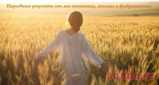Прогоним опухоль - рецепты от мастопатии, миомы и фибромиомы
