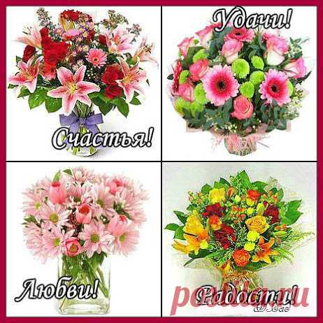 ЖЕЛАЮ ВАМ.........