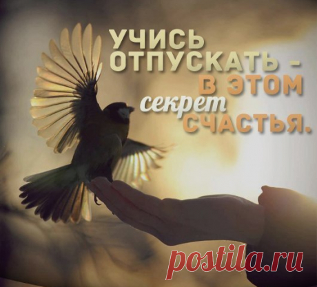 Иногда, для того чтобы достичь своей желанной цели: исцелиться, найти любимую работу, встретить любимого человека, впустить перемены к лучшему, наконец, необходимо научиться … отпускать.
Отпустить — значит, в первую очередь, отпустить себя прошлого, в тот же миг приглашая войти себя НАСТОЯЩЕГО — нового, исцеленного, любимого, любящего, вдохновенного мечтами, идеями, влюбленного в жизнь.