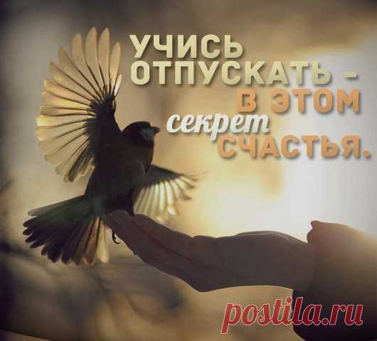 Иногда, для того чтобы достичь своей желанной цели: исцелиться, найти любимую работу, встретить любимого человека, впустить перемены к лучшему, наконец, необходимо научиться … отпускать.
Отпустить — значит, в первую очередь, отпустить себя прошлого, в тот же миг приглашая войти себя НАСТОЯЩЕГО — нового, исцеленного, любимого, любящего, вдохновенного мечтами, идеями, влюбленного в жизнь.