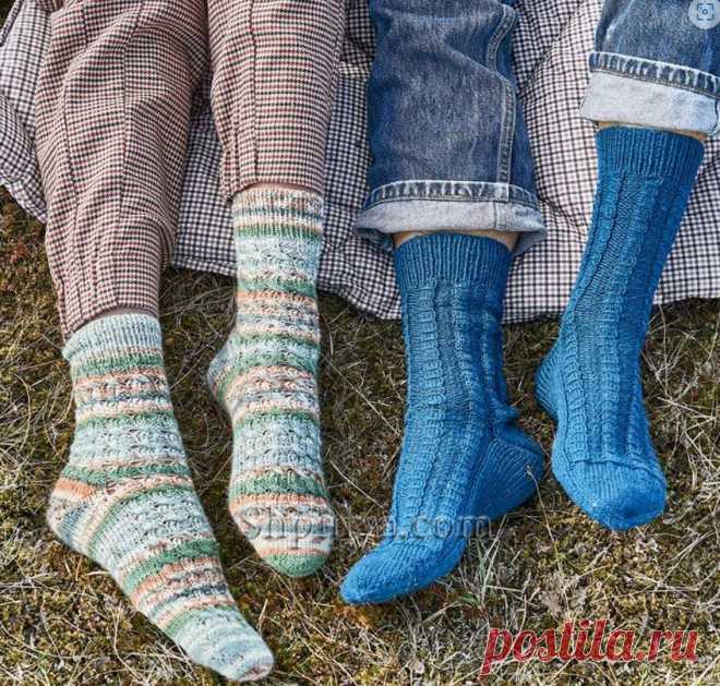 Женские и мужские шерстяные носки спицами | Be Creative | Пульс Mail.ru