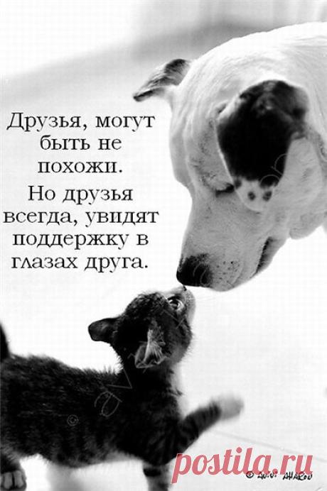 Если тебе плохо, в гости приходи!
Если тебе скучно, срочно позвони!
Хочешь ты напиться - я к тебе приду!
Хочешь поделиться - я тебя пойму!
Только не закройся ты в своей беде,
просто позвони мне и спроси:" Ты где?"

Подруге посвящается.