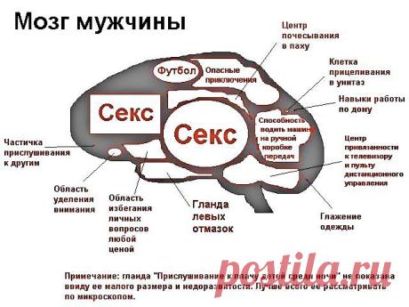 ТАЙНЫ ДРЕВНИХ. : РАССКАЗЫВАЕТ МЕДЕЯ- СОБОРНАЯ ДУША ПИКРАНА: ОБЩЕСТВО И ЧЕЛОВЕК- ВЗГЛЯД СО СТОРОНЫ.