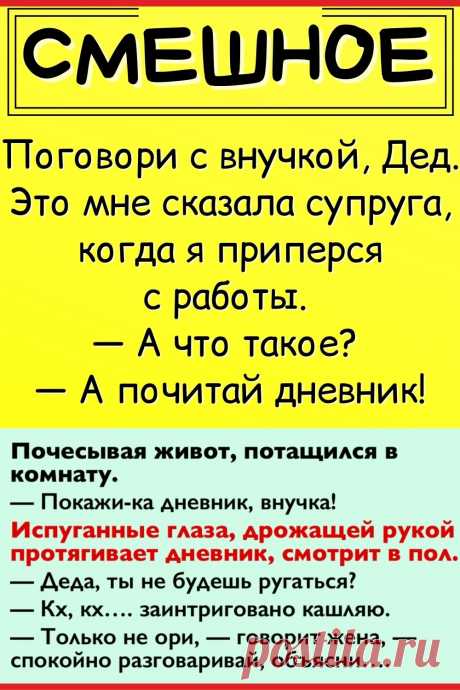 Поговори с внучкой, Дед. Это мне сказала супруга, когда я приперся с работы. — А что такое? — А почитай дневник…