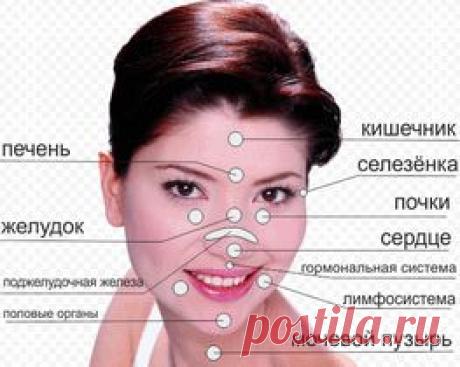 ЗОНЫ ОТРАЖЕНИЯ ВНУТРЕННИХ ОРГАНОВ НА ЛИЦЕ