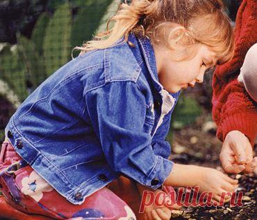 МИР РАСТЕНИЙ. Осенний посев семян цветов | Хвастунишка