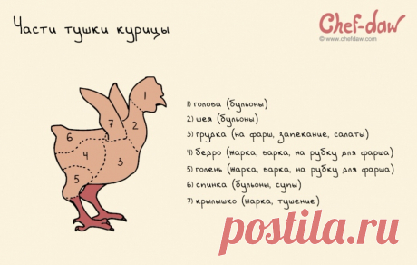 Части тушки курицы