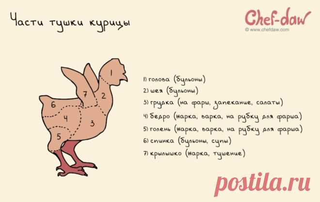 Части тушки курицы