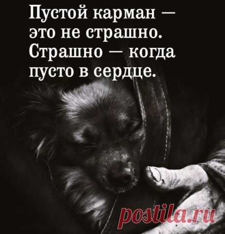 https://likvik.ru/