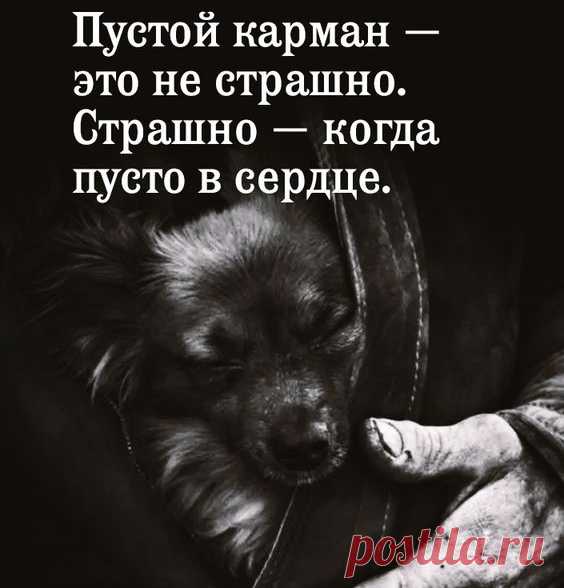 https://likvik.ru/
