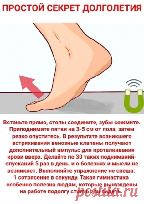 Виброгимнастика