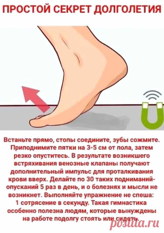 Виброгимнастика