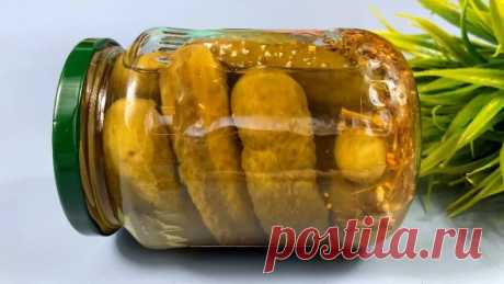 Зима прошла, а огурцы ОСТАЛИСЬ! Просто измельчите их и в ДУХОВКУ! Вкусно, быстро и дешево!