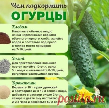 садоводам на заметочку