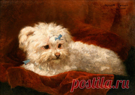 Henriette Ronner-Knip
