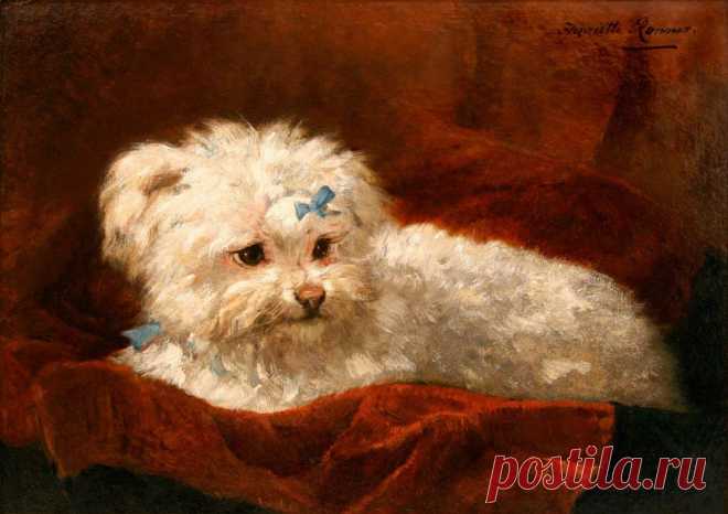 Henriette Ronner-Knip