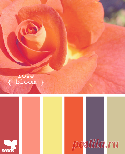 Цветы, деревья — источник вдохновения! | BepHuK собирает друзей