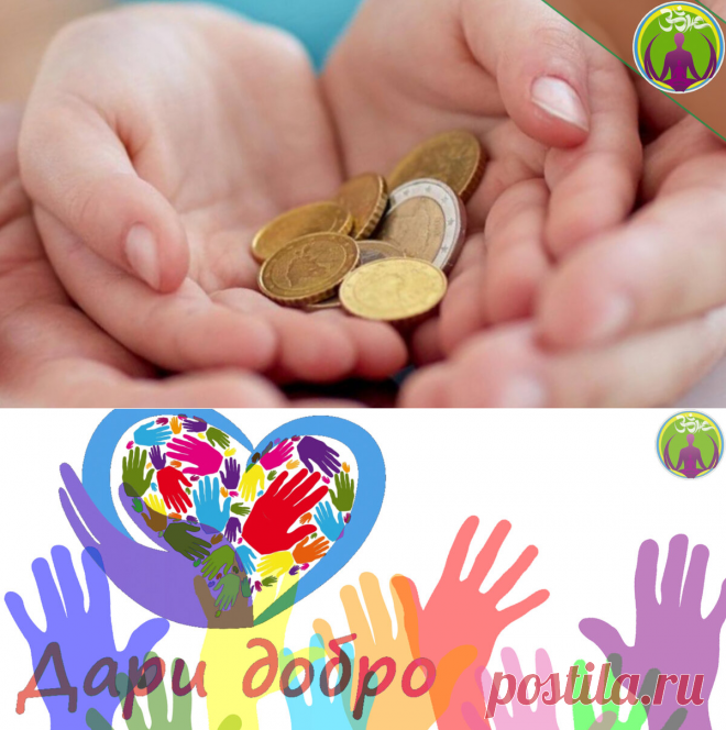 Благотворительность. Почему для меня это важно. "Мы получаем то, что отдаем". | ЗОЖ путь изнутри вовне | Яндекс Дзен