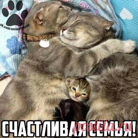 Интересные новости