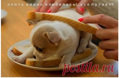 сладенький