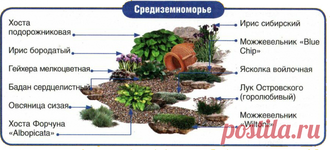 syhoi_rychei_3.jpg (Изображение JPEG, 870 × 396 пикселов)