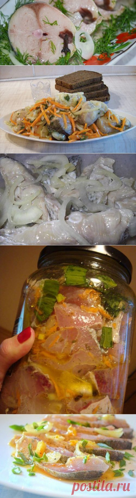 Маринованный толстолобик в домашних условиях