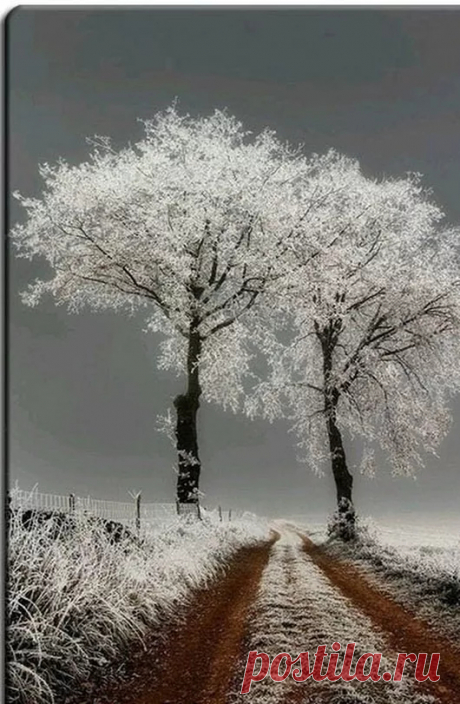 наедине с Природой - Google+