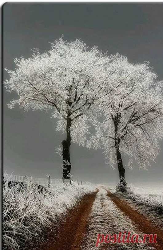 наедине с Природой - Google+