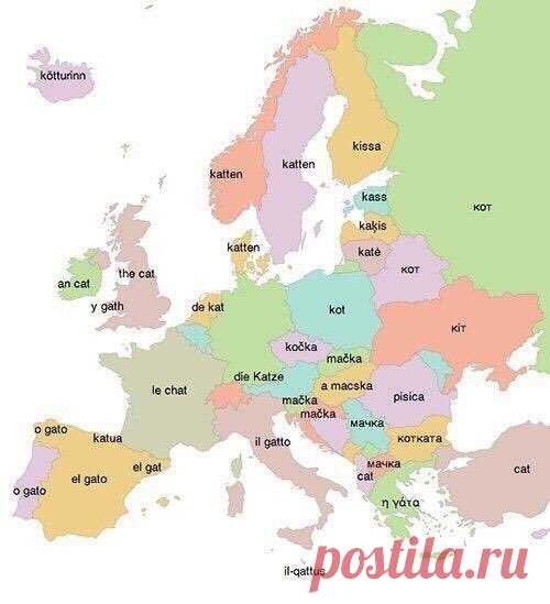 Самая полезная карта