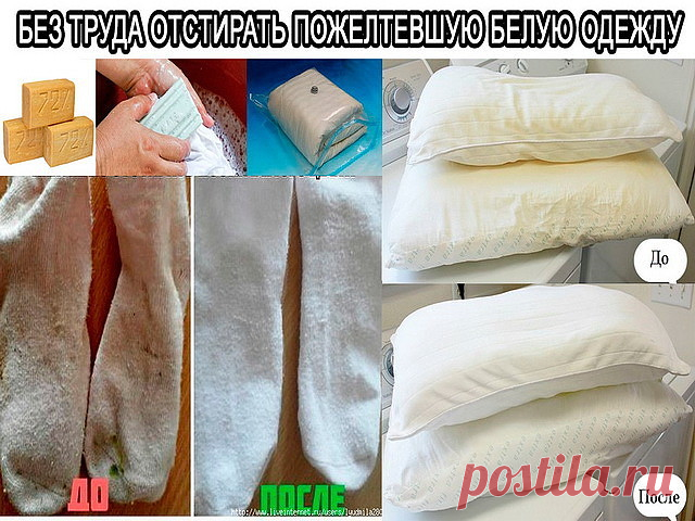 (31) Одноклассники