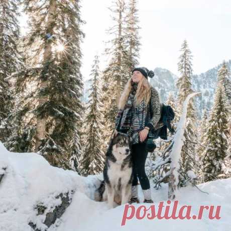 Как собака и девушка спасли друг друга