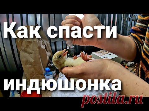 Как исправить 