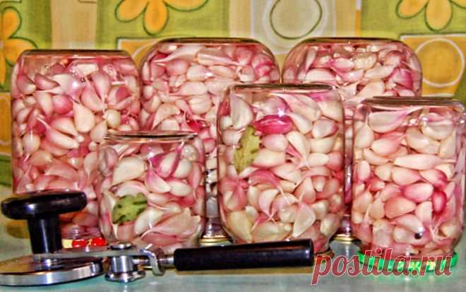 Маринованный чеснок: не только изысканно вкусная консервация, но и полезная для здоровья Ваши близкие точно оценят его, и он будет всем по вкусу!