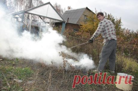 Зачем садоводу навоз, опилки и бархатцы? Дачные работы в сентябре Рано убирать инвентарь – в саду ещё достаточно работы.