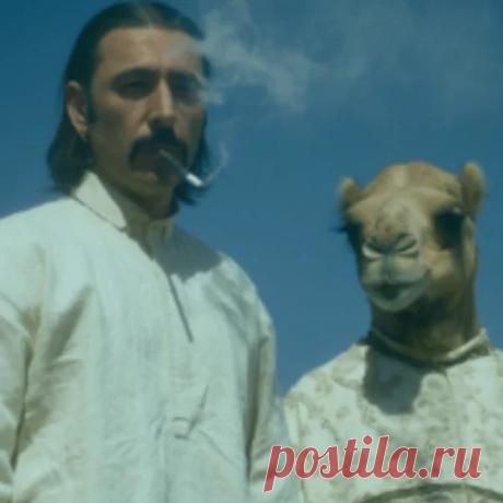 Butch From Outer Space Chart - HypeDJ.top