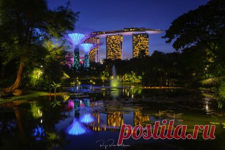 Gardens Blue Hour Blue hour at the gardens