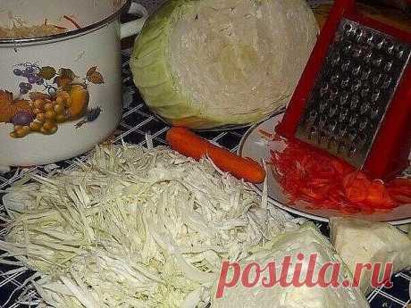 СОЛИМ КАПУСТУ НА ЗИМУ