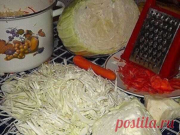 СОЛИМ КАПУСТУ НА ЗИМУ