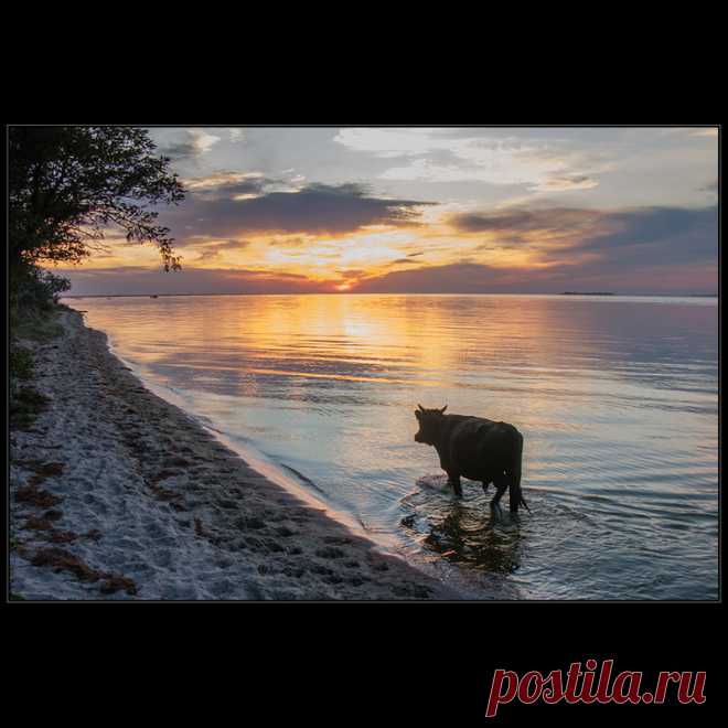 Фотографія Курс - на закат:)) / Дмитрий Домбровский / photographers.ua