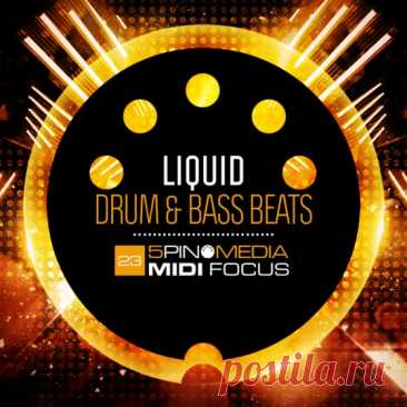 MIDI Focus Liquid Drum and Bass Beats MULTiFORMAT-MAGNETRiXX  | 66 MB

proudly presents LIQUID DRUM &amp; BASS BEATS produced by beatsmith Dan Larsson. This collection of beats covers the more melodic style of Drum &amp; Bass made popular by the likes of Calibre, Spectrasoul, Netsky, Icicle, Zero-T and Nu:Logic to name a few.