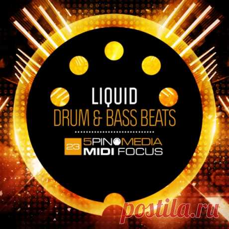 MIDI Focus Liquid Drum and Bass Beats MULTiFORMAT-MAGNETRiXX  | 66 MB

proudly presents LIQUID DRUM &amp; BASS BEATS produced by beatsmith Dan Larsson. This collection of beats covers the more melodic style of Drum &amp; Bass made popular by the likes of Calibre, Spectrasoul, Netsky, Icicle, Zero-T and Nu:Logic to name a few.